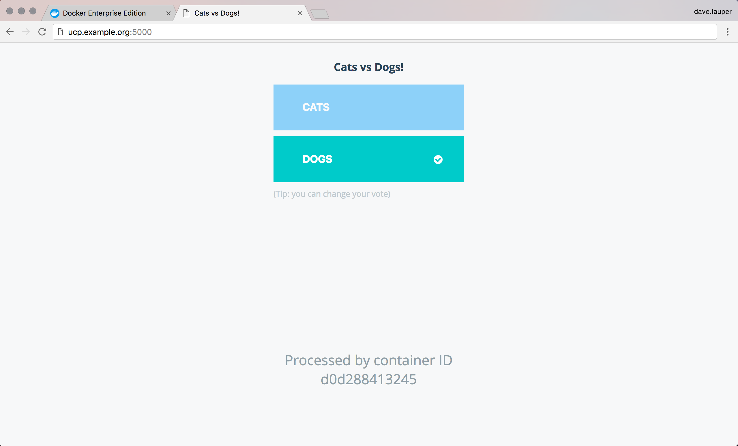 Voting app